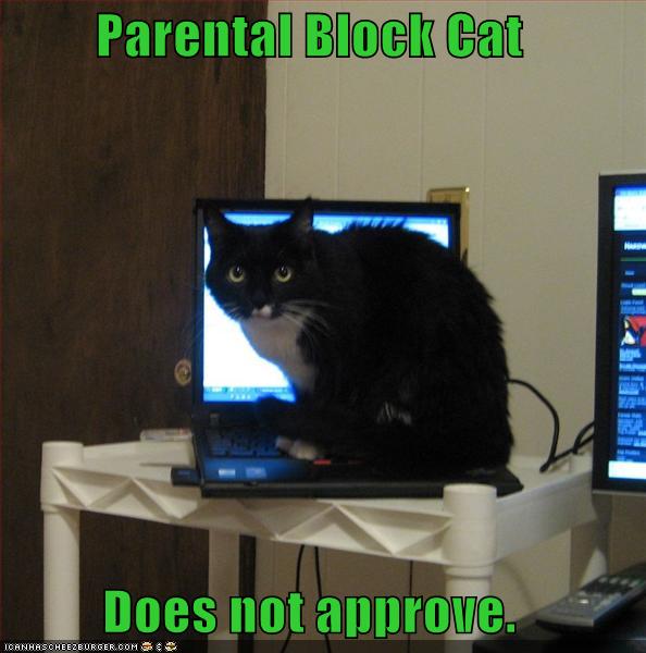 Funny Pictures Lolcats. lolcat-funny-picture-parental-